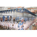 Full Automatic Control Type Chicken Slaughter Line